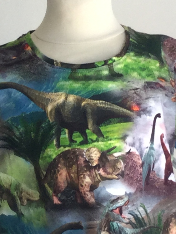 504 T-shirts Dinosaurie