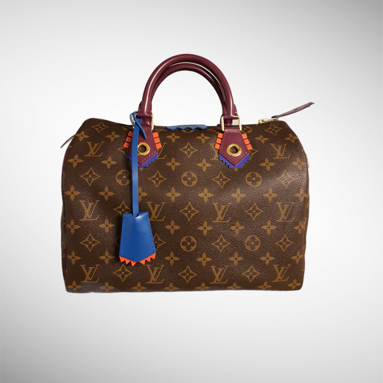 Louis Vuitton Pre-owned Speedy 30 Totem Monogram