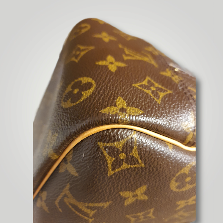 Louis Vuitton Pre-owned Deauville Monogram-SH2021-129