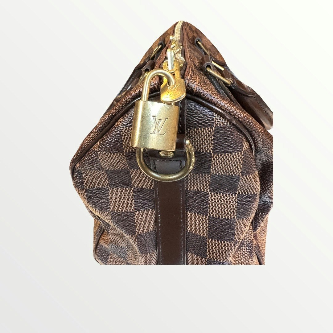 Louis Vuitton Pre-owned Speedy Bandouliere 25 Damiere Ebene