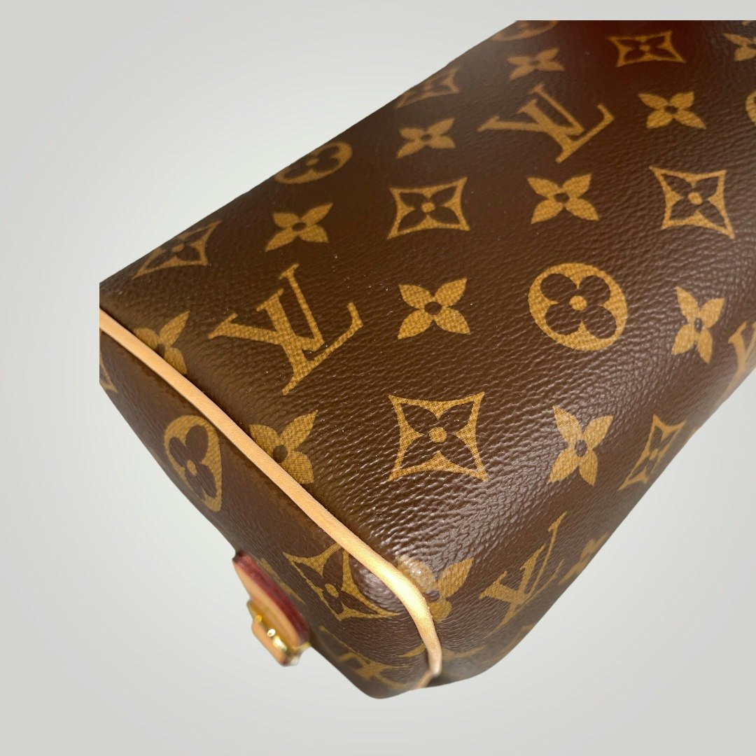 Louis Vuitton Speedy Bandouliere 20 Monogram Brown/Black