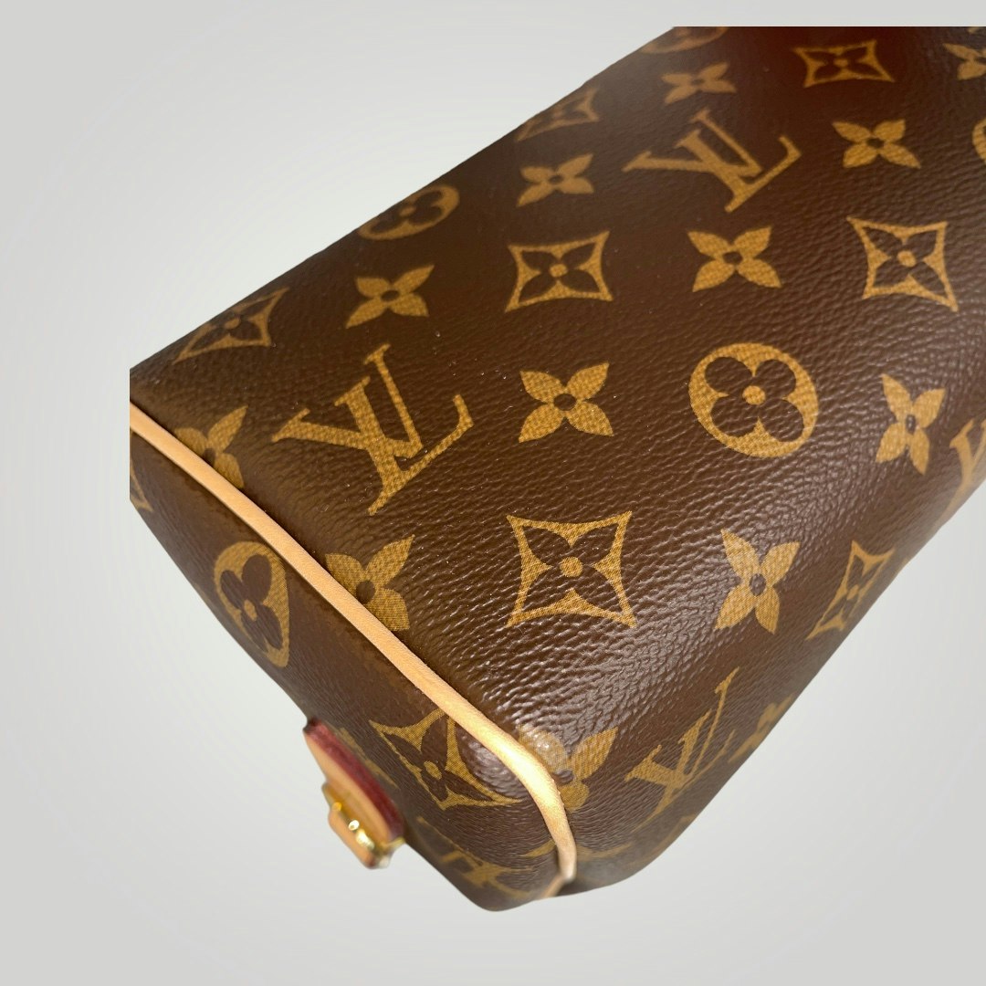 Louis Vuitton Pre-owned Speedy Bandouliere 20 Monogram Black