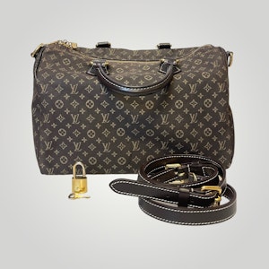 Louis Vuitton Pre-owned Speedy 30 Bandouliere Mini Lin