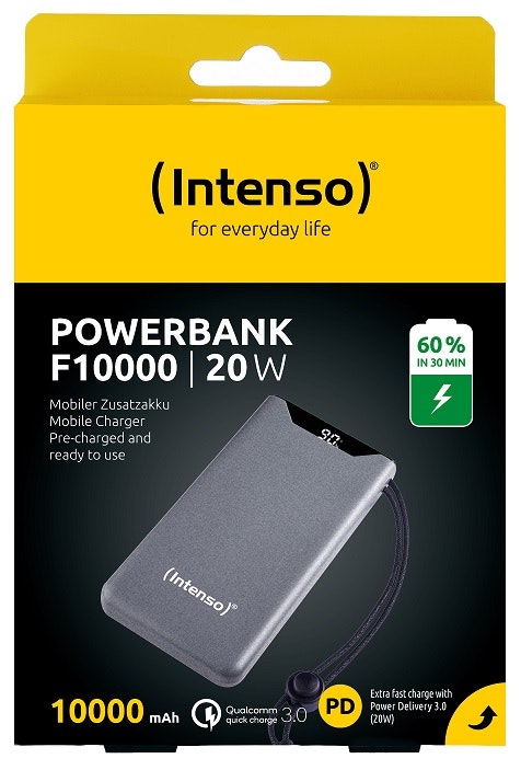 Intenso Powerbank F10000 Grå