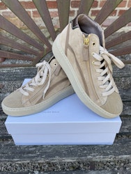 DLSport Cavallino Talpa , beige