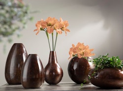 Vas Amaryllis brown
