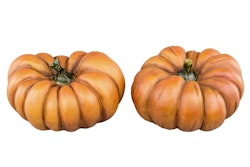 Orange pumpa