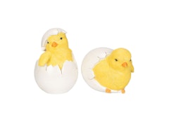 Kyckling tittut 2-pack