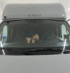 Dekal ”HORSES”