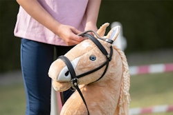 Träns Hobby Horse