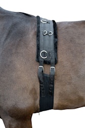 HKM Longeringsgjord Teddy