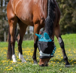 Shires Flughuva med öron - Teal/Grey