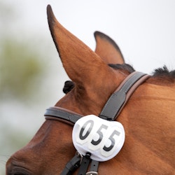 HS Nummerlapp Rund