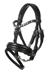 Träns Hobby Horsing
