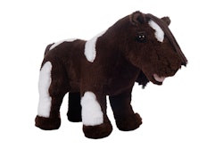 Cuddle Ponny Pinto