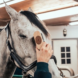 BORSTIQ FARM Pannborste PP