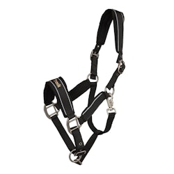 Back on Track "Werano" Grimma Reflex