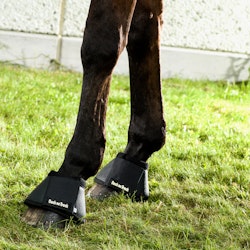 Back on Track Hästboots