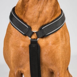 Back on Track "Max" Hundsele