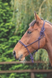 Shires Repgrimma, One Size