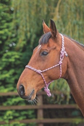 Shires Repgrimma, One Size