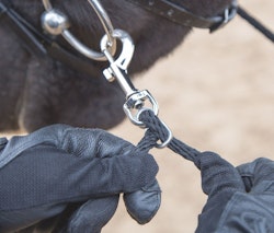 Shires Longeringshjälp Black One size