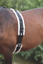 Shires Longeringsgjord med Fleecefoder, Black