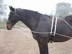 Shires Longeringssystem Black One Size