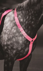 EQUI-FLECTOR® Reflex Brösta