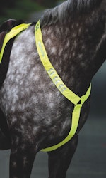 EQUI-FLECTOR® Reflex Brösta