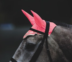 EQUI-FLECTOR® Reflex Huva
