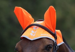EQUI-FLECTOR® Reflex Huva