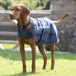 DIGBY & FOX Navy Tweed Hundtäcke
