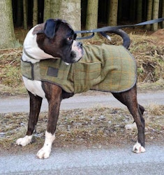 DIGBY & FOX Tweed Hundtäcke, Tweed/läder