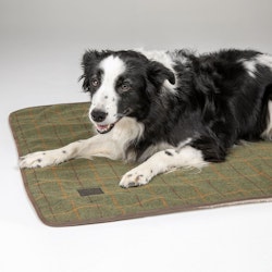 DIGBY & FOX Tweed Hundfilt