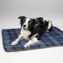 DIGBY & FOX Navy Tweed Hundfilt