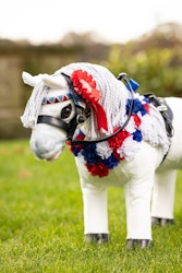 LeMieux Toy Pony Flower Sash Gehäng