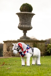 LeMieux Toy Pony Flower Sash Gehäng