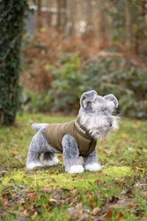 LeMieux Toy Puppy (Schnauzer) Cooper