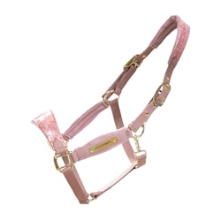 Kentucky Horsewear Velvet Halter Unicorn Glitter