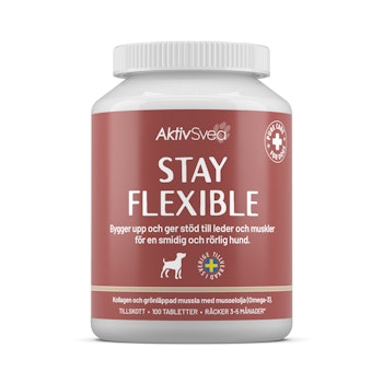 AktivSvea Stay Flexible