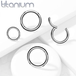Titan segment ring