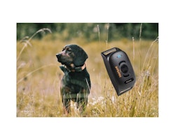 WEHUNT GPS DOG TRACKER II