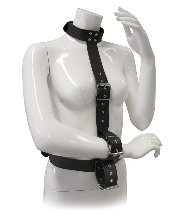Blaze, Restraint body harness with collar