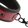 Fetish submissive - Dark room collar with leash