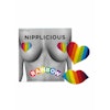 Nipplicious Rainbow Pasties