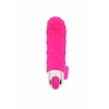 Tickle Pleaser Rechargeable