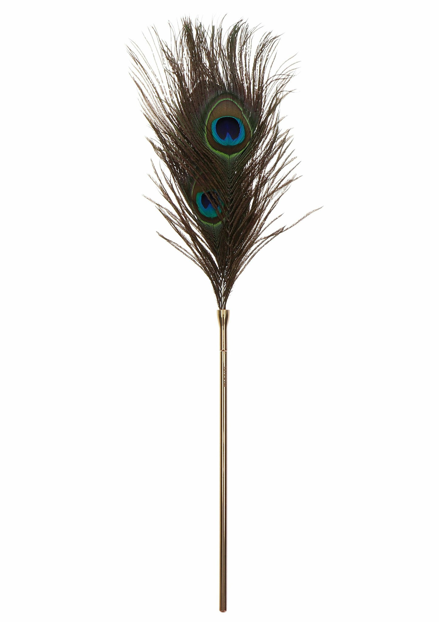 TABOOM - Peacock Tickler
