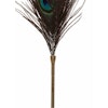 TABOOM - Peacock Tickler