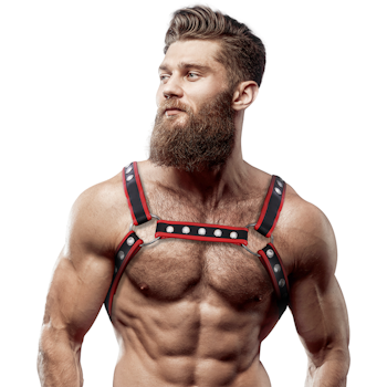 Fetish Submissive Attitude - Men's Eco-leather Chest Bulldog Harness, Black/red